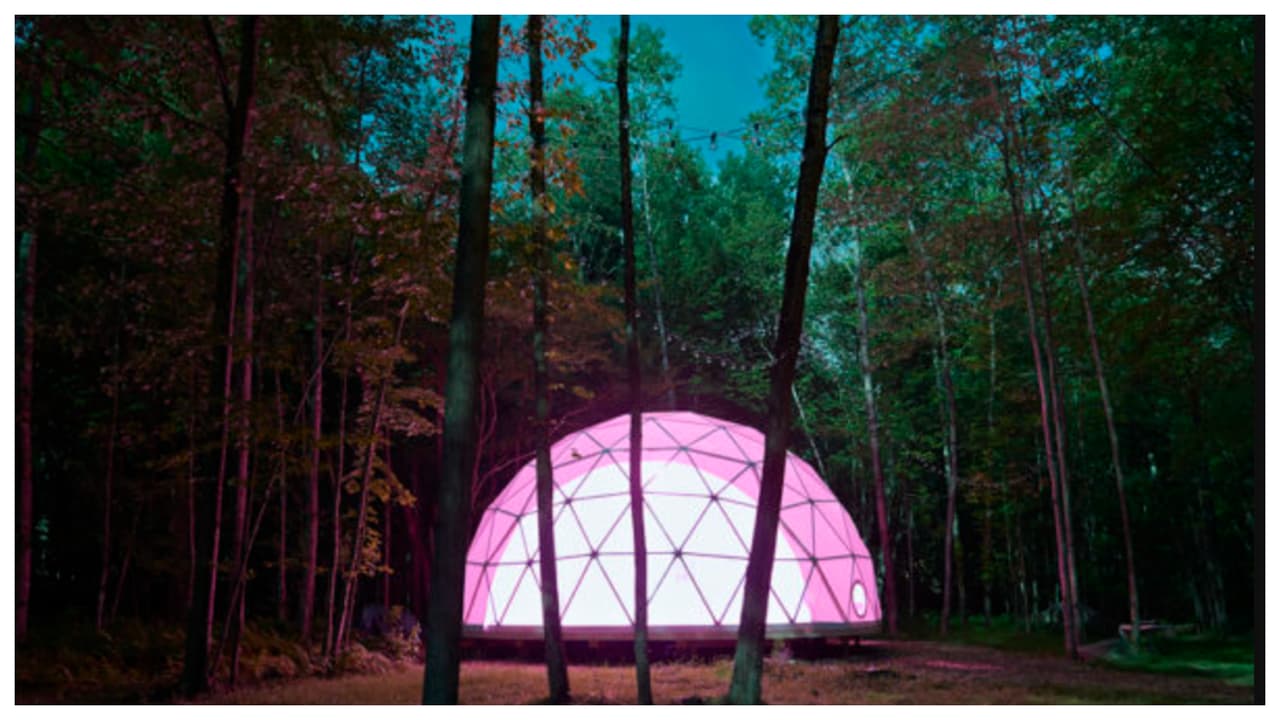 También hay glamping en 
<b>domos, o cúpulas geodésicas,</b> es decir, una estructura esférica llena de facetas triangulares o poligonales, como el que ofrece 
<a href="https://www.outlierinn.com/getting-here/">The Outlier Inn</a>, en 
<a href="https://www.google.com/maps/dir/Woodridge,+NY/@41.7106265,-74.6445372,12z/data=!3m1!4b1!4m9!4m8!1m0!1m5!1m1!1s0x89dcc76ce792ce7b:0xc324bee07072ef24!2m2!1d-74.5743262!2d41.7106479!3e1?shorturl=1">Woodrige, New York</a>. Se trata de una granja bucólica de 12 acres a unas 90 millas de NYC. 
<br>