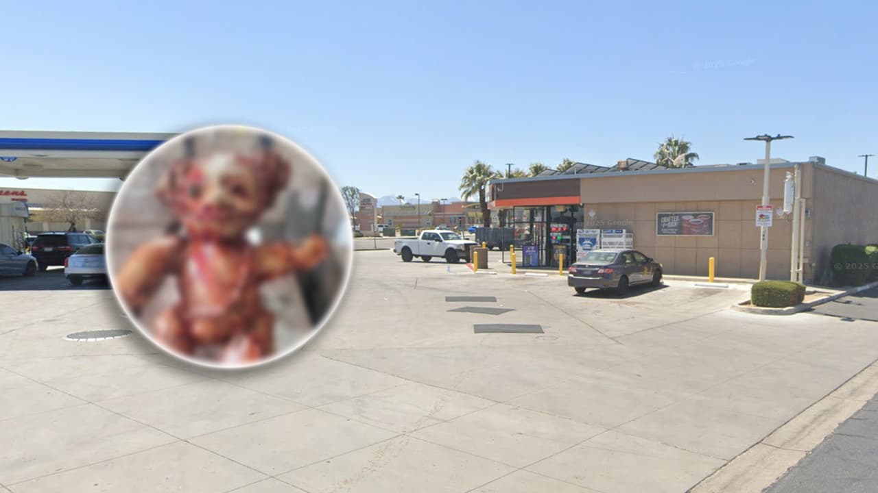 Encuentran oso de peluche cubierto con aparente “piel humana” en Victorville; hay un detenido