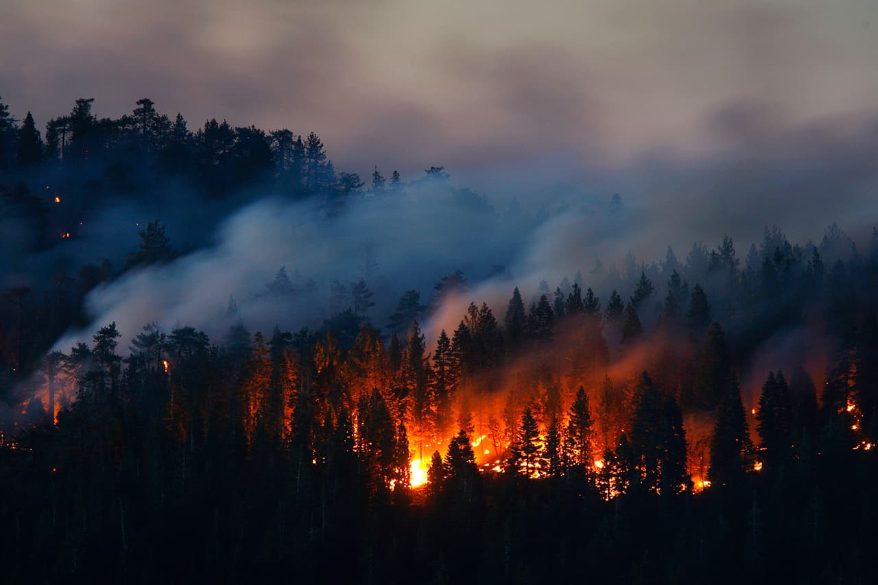 <h3 class="cms-H3-H3">7. Incendios de California de 2008</h3>
<br>
<br>🚒
<b> Área atacada por el incendio: </b>1.6 millones de acres.
<br>
<br>🚒 
<b>Región afectada: </b>Norte y sur de California.
<br>
<br>🚒 
<b>Fecha: </b>Abril a noviembre de 2008.
<br>
<br>🚒 
<b>¿A qué equivale el área devastada por el fuego? </b>Aproximadamente el tamaño de Delaware. 
<br>