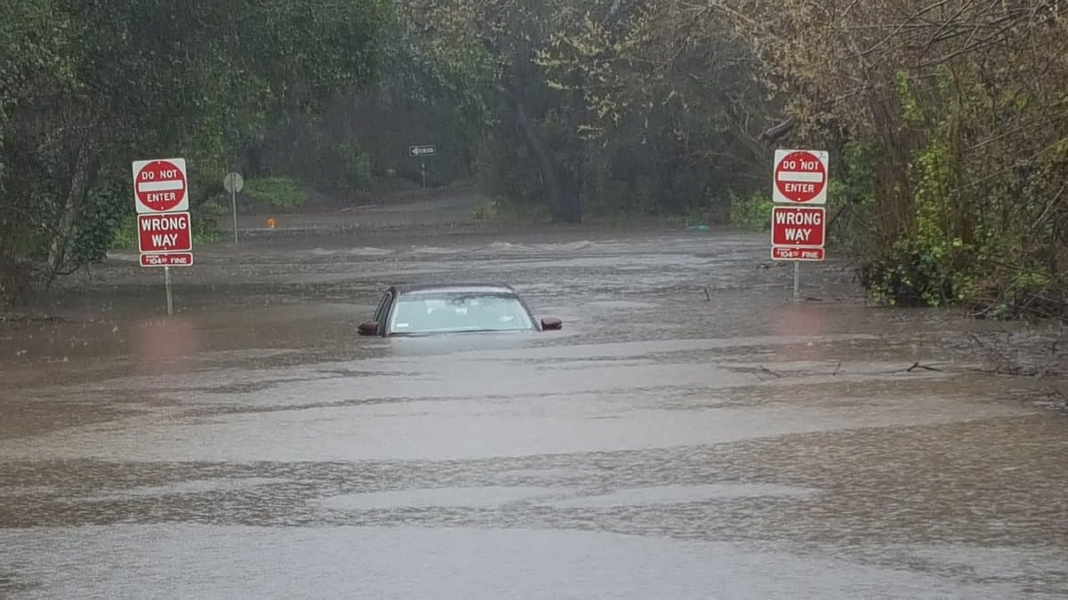 Varios tramos de la calle Brookwood Dr, en Santa Cruz, quedaron totalmente inundadas. Este vehículo quedó varado con el agua hasta la mitad.