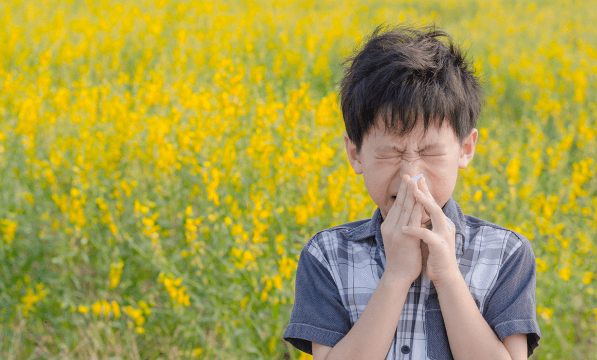 Congestión nasal, irritación ocular y dolor de garganta son algunos de los síntomas más frecuentes de las alergias que caracterizan esta temporada, aunque también puede haber otros más severos como sinusitis, cansancio extremo y dolor de oídos. También puede empeorar el 
<a href="https://www.univision.com/noticias/asma/el-sensor-inteligente-que-ayuda-a-controlar-el-asma-de-los-ninos">asma</a> en quienes padecen esta condición.
<br>