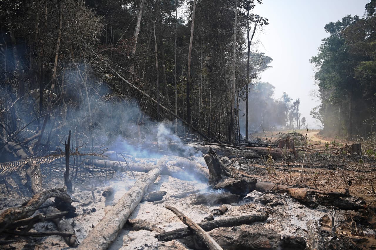 En los alrededores de la ciudad de Porto Velho, aún los árboles arden entre las cenizas y el humo.