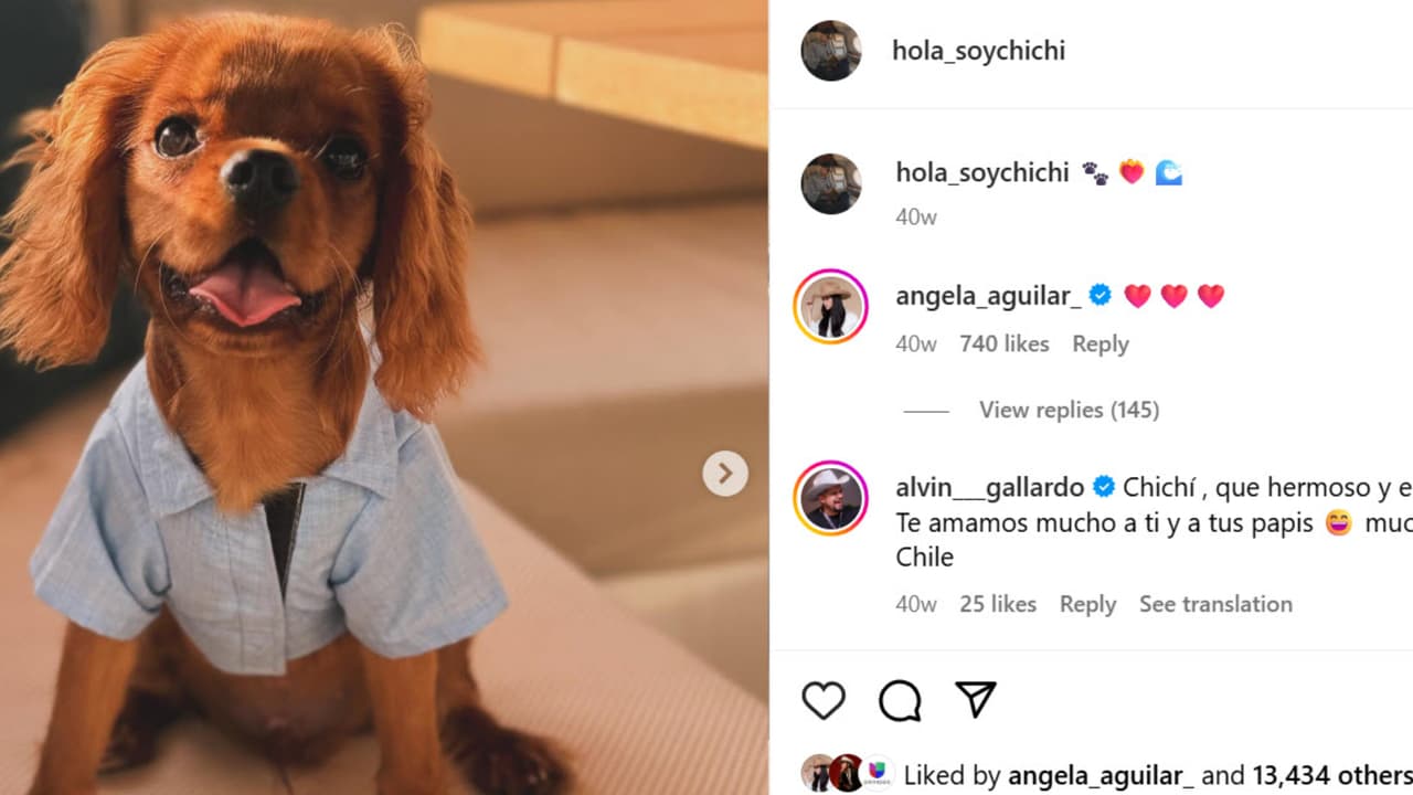 Esta es la última foto que existe de 'Chichí' en su cuenta de Instagram y fue publicada en agosto de 2024.