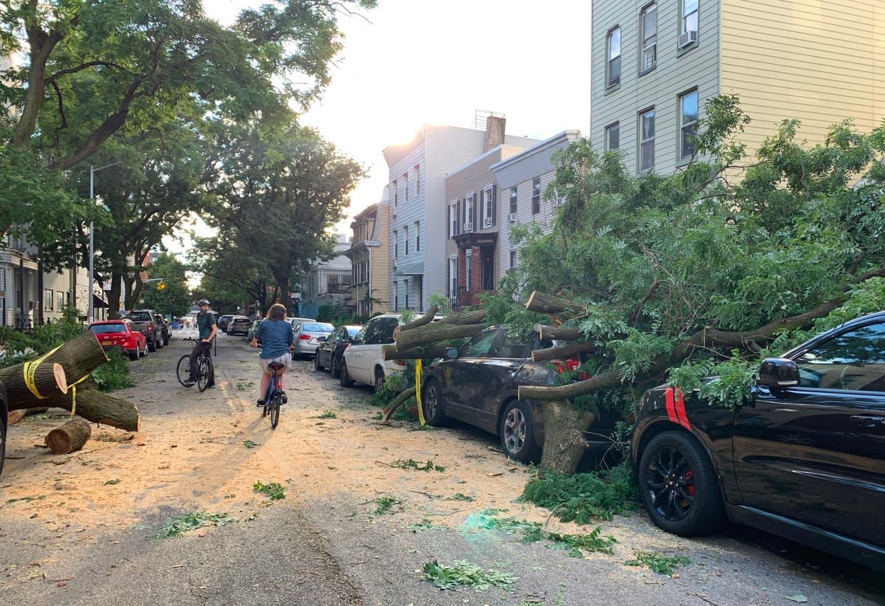 La víctima mortal es un hombre de unos 60 años de edad, que se encontraba 
<b>en el interior de su vehículo en el distrito de Queens cuando un árbol cayó sobre él, según informaron las autoridades.</b>