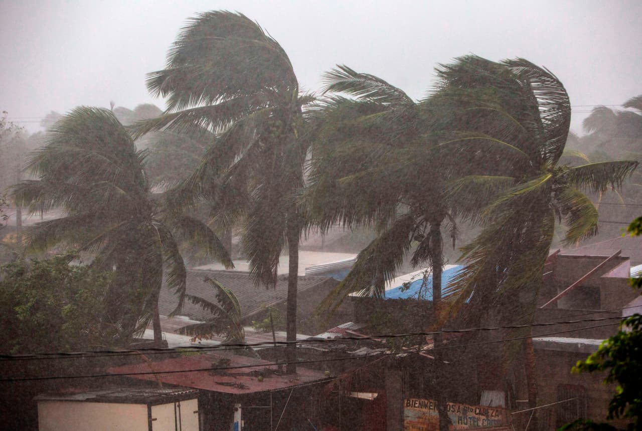 Palmeras resisten los poderosos vientos de hasta 140 millas por hora con los que Eta azotó Bilwi, Nicaragua. Además de los vientos, el ciclón golpea con fuertes lluvias la costa norte de Centroamérica.