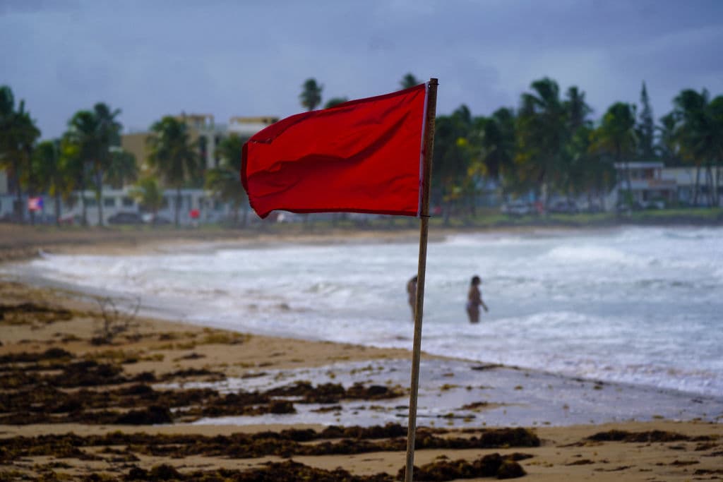 De todos modos, hombres y mujeres tomaron la decisión del disfrutar del mar en medio del peligro. Y salieron vivos para contarlo.