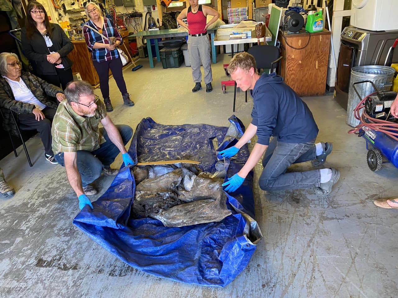 Se estima que la pequeña mamut habría muerto hace más de 30,000 años cuando la región estaba repleta de mamuts lanudos, caballos salvajes, leones de las cavernas y bisontes. Es 
<b>el primer mamut momificado casi completo y tan bien conservado que es encontrado en América del Norte</b>. 
<br>
