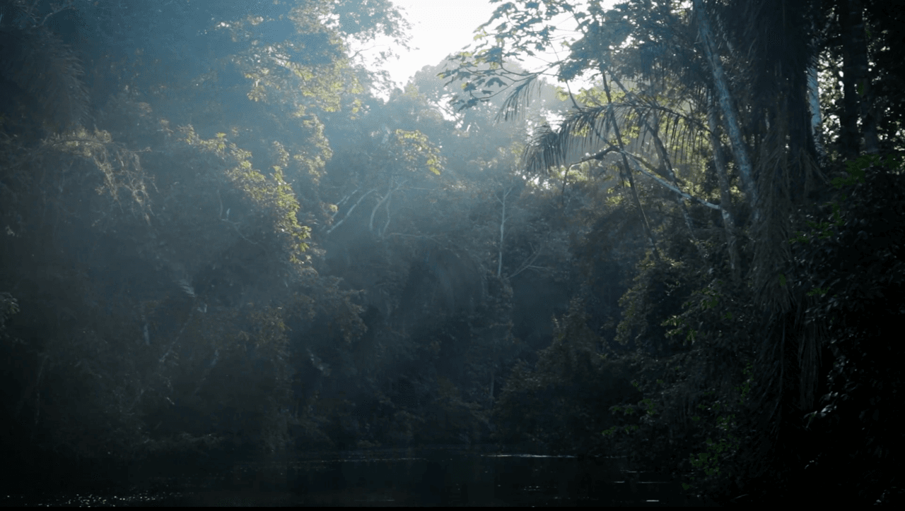 <h3 class="cms-H3-H3">1. Río Zabalo, Ecuador</h3>
<br>
<br>Ubicado en la selva amázonica de 
<a href="https://www.univision.com/temas/ecuador">Ecuador</a>, recibió en el pasado el premio cumbre de la organización 
<i>First Wilderness Quiet Park</i>. “Hasta ahora, ningún lugar de la Tierra ha estado fuera del alcance de la contaminación acústica; 
<b>la tranquilidad natural se ha convertido en una especie en peligro de extinción sin que la gente lo sepa”</b>, dijo Gordon Hempton, cofundador de la QPI.