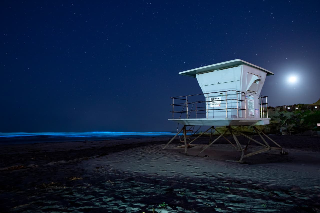 El 
<a href="https://scripps.ucsd.edu/news/everything-you-wanted-know-about-red-tides" target="_blank">oceonagrafo de UC San Diego</a>, Michael Latz, asegura que la marea roja se debe a las agregaciones del dinoflagelado Lingulodinium polyedra. Durante los días soleados estos organismos nadan hacia la superficie donde se concentran dando el color rojizo a la marea. Y en la noche, cuando el "fitoplancton se agita por las olas u otros movimientos en el agua, emiten un deslumbrante brillo azul neón", asegura Latz.