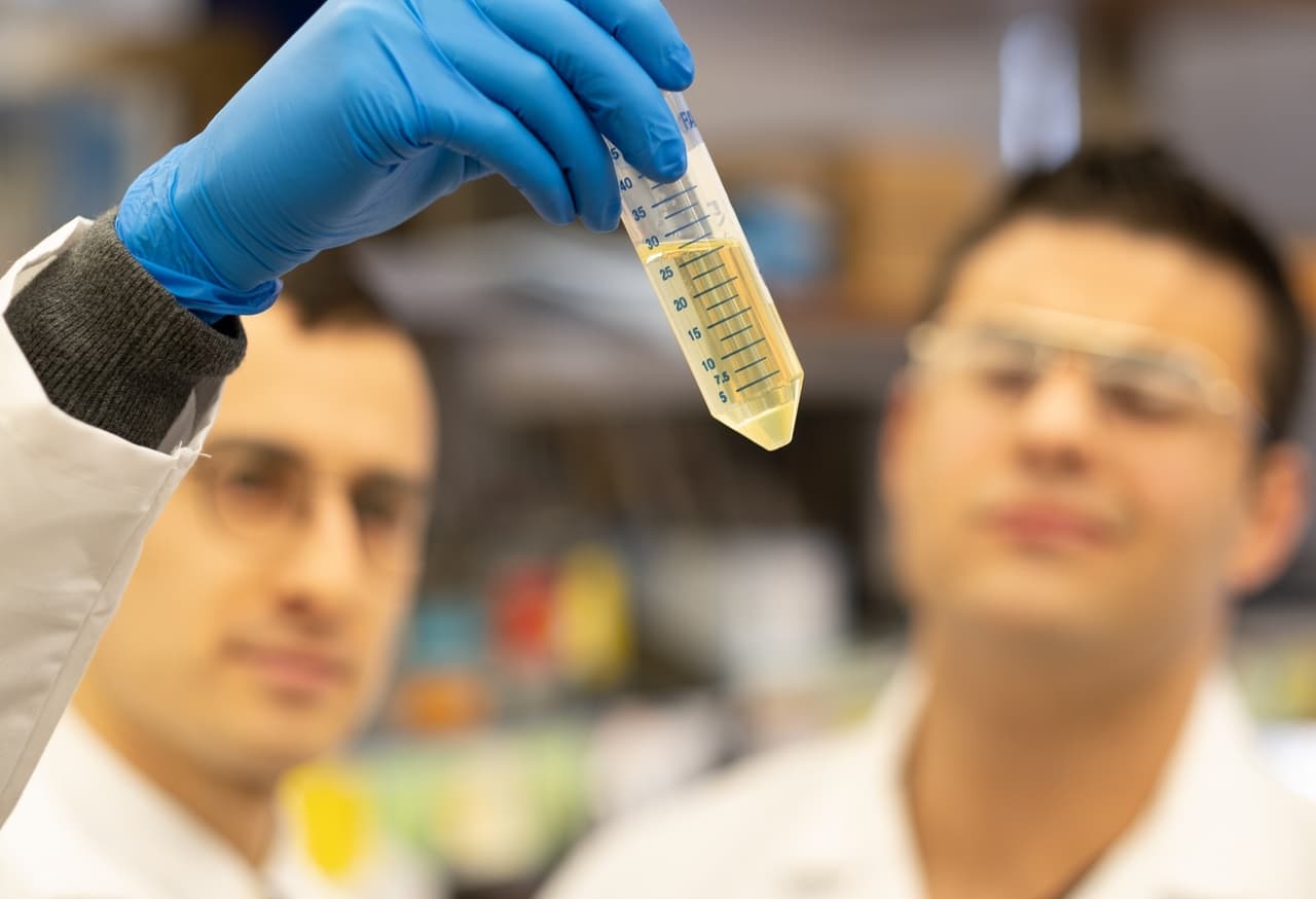 "Potencialmente prometedor": médico apoya tratamiento con plasma en niño enfermo de coronavirus 