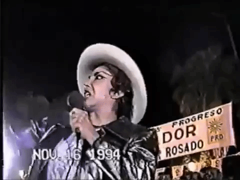 En la década de 1990 la carrera de Irma tomó un giro totalmente inesperado, pues se dedicaría a la política. Fue diputada y senadora en tres ocasiones con dos partidos políticos mexicanos diferentes y una vez como independiente. Su última incursión en la política fue en el año 2000.