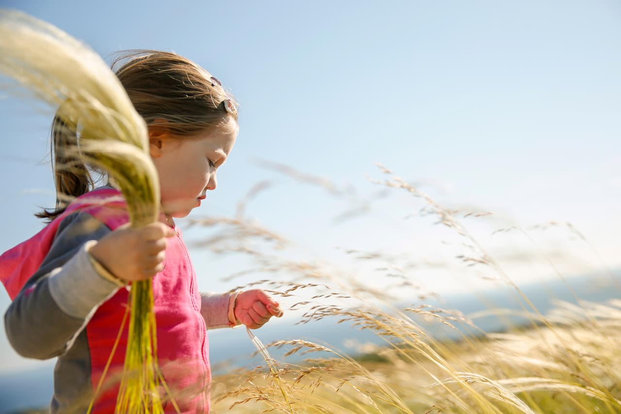 <b>Entre niños y adultos también hay diferencias</b>. Los menores con alergias n
<b>o ven afectados su estado de ánimo, mientras que los adultos sienten más cansancio. </b>
