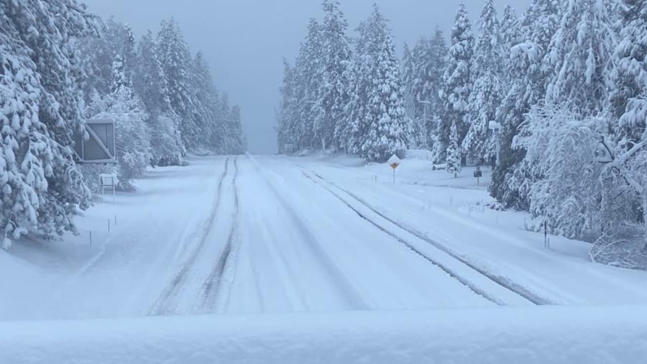 Caltrans pide a los conductores no confiar en sistemas de GPS durante las tormentas, ya que no cuentan con la información actualizada. La agencia ofrece una 
<a href="https://roads.dot.ca.gov/roadscell.php" target="_blank">página de internet donde se puede revisar el estado de las autopistas y carreteras</a>.