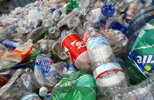 La mujer compraba la lotería todas las semanas como parte de una rutina que comparte con sus sobrinas. Luego de reciclar latas y botellas, la mujer compensaba a sus ayudantes con botanas y refrescos y ella compraba un par de boletos de lotería.