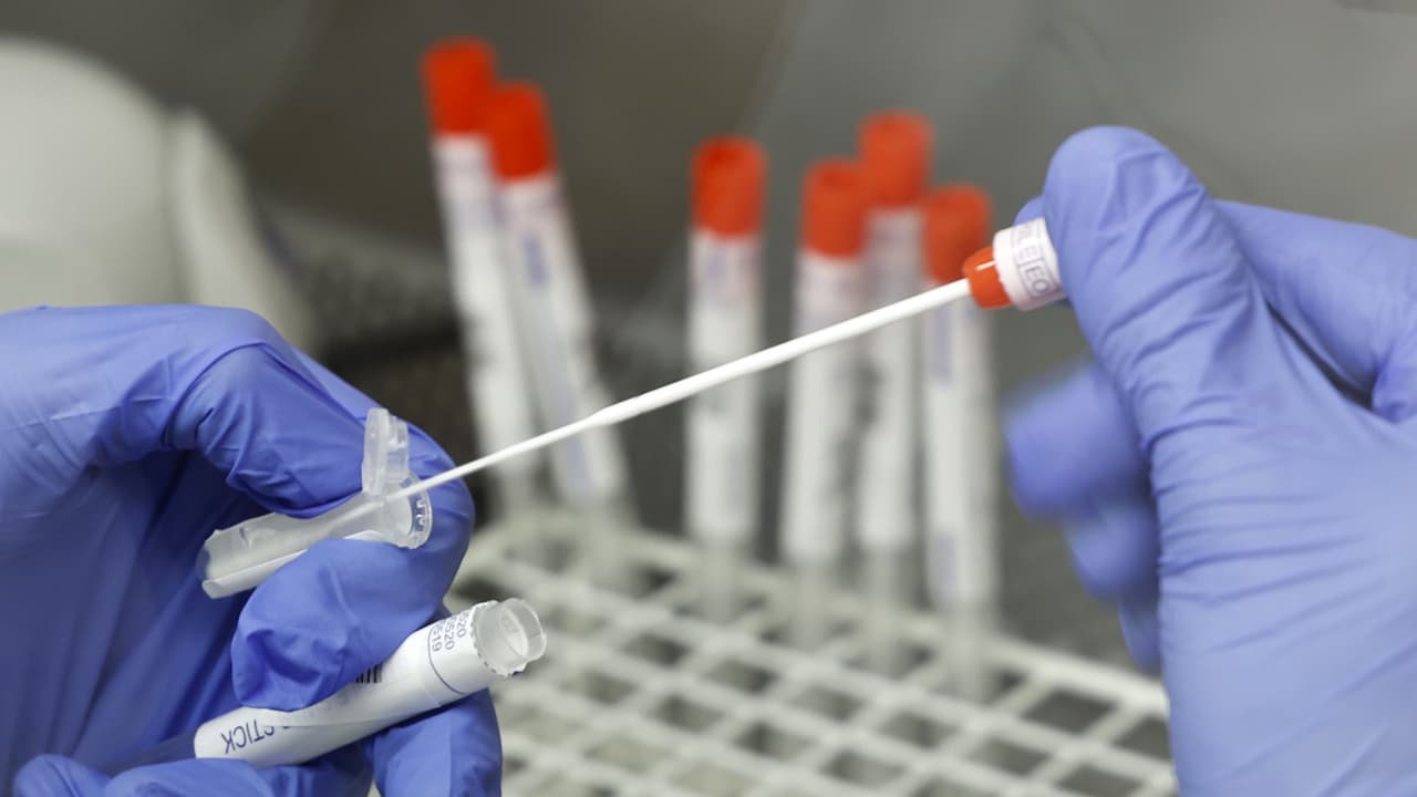 "Nuestras decisiones se basan en la guía de salud más actual de los 
<b><a href="https://nam04.safelinks.protection.outlook.com/?url=https%3A%2F%2Fwww.cdc.gov%2Fcoronavirus%2F2019-ncov%2Fcommunity%2Fschools-childcare%2Fk-12-guidance.html&data=04%7C01%7Cmlourdes%40univision.net%7C654f50e3bf3c4907faa608d94d60e20b%7C91ff98f7aa664cf39617b5c4f409c51d%7C0%7C0%7C637625900912920299%7CUnknown%7CTWFpbGZsb3d8eyJWIjoiMC4wLjAwMDAiLCJQIjoiV2luMzIiLCJBTiI6Ik1haWwiLCJXVCI6Mn0%3D%7C2000&sdata=8mFZ0n8yKdOyCedyOUKCLLgPzZ8ZSKxCBJ3ZyJVJPeY%3D&reserved=0" target="_blank">Centros para el Control y la Prevención de Enfermedades (CDC)</a></b>, el 
<b><a href="http://www.dph.illinois.gov/" target="_blank">Departamento de Salud Pública de Illinois (IDPH)</a></b> y el 
<b><a href="https://www.chicago.gov/city/es/sites/covid-19/home.html" target="_blank">Departamento de Salud Pública de Chicago (CDPH)</a></b>, quienes están de acuerdo en que garantizar que los estudiantes tengan acceso apersona que aprende cinco días a la semana es la máxima prioridad. 
<b>Los protocolos de salud y seguridad del distrito están diseñados para proporcionar a todos los estudiantes la educación en persona que merecen mientras mantienen a todos en nuestras comunidades escolares sanos y seguros</b>", 
<b>explicaron en una carta dirigida a los tutores y padres de los menores.</b>