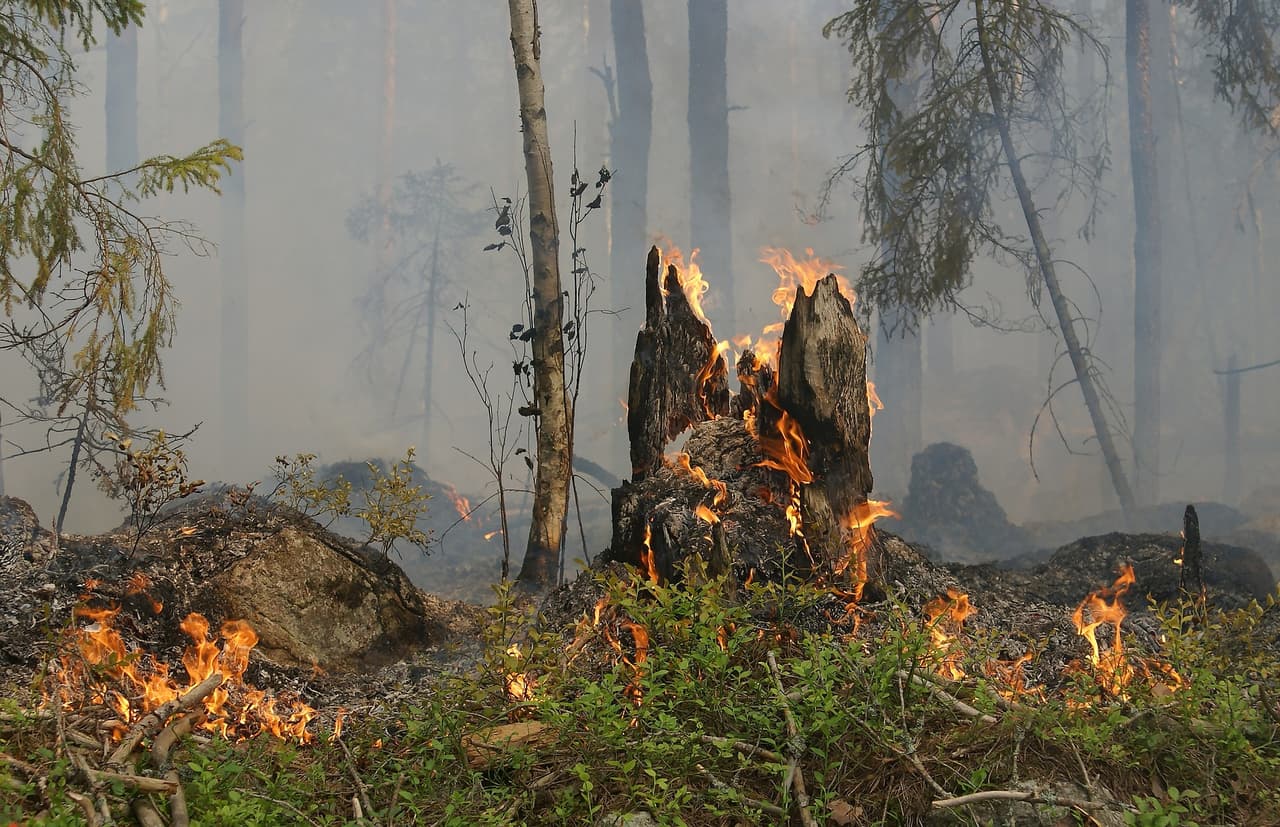 Cuidado: alerta vigente ante posible riesgo de incendios forestales