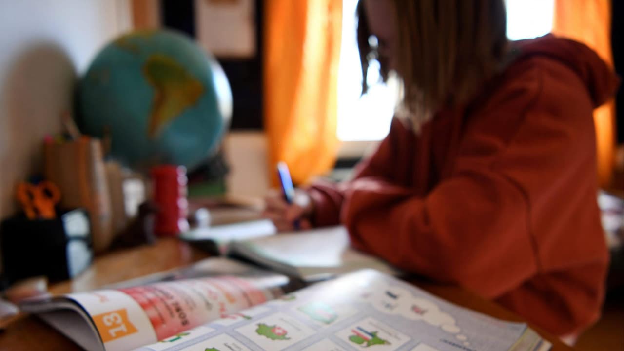 Estas son las escuelas de transferencia para ayudar a estudiantes hispanos con el inglés en NY