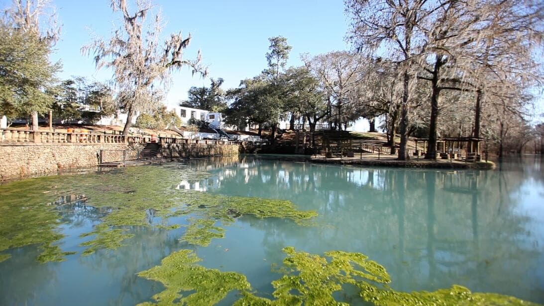 Conoce más sobre Radium Springs Gardens, 
<b><a href="https://www.univision.com/local/atlanta-wuvg/radium-springs-gardens-maravilla-natural-de-georgia-es-justo-el-destino-que-buscas-para-la-primavera-2023-fotos">aquí</a></b>.