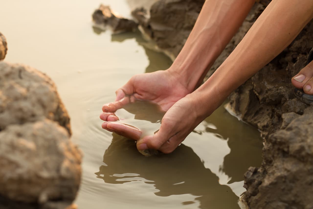 Los gérmenes de Shigella se encuentran en las heces, por lo que cualquier cosa que se contamine con las heces puede potencialmente propagar los gérmenes. Shigella puede transmitirse de una persona a otra o a través de agua, alimentos, superficies u objetos contaminados.