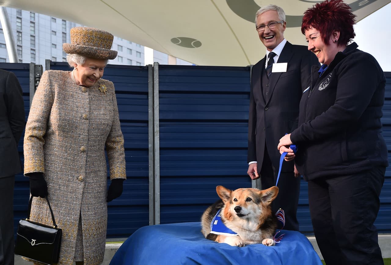 La reina Isabel II mira a un corgi durante una presentación en 2015. De acuerdo con Junor, la monarca estaba preocupada por lo que ocurriría con los perros cuando ella faltara, puesto que algunos miembros de su familia no compartían su cariño por los corgis.