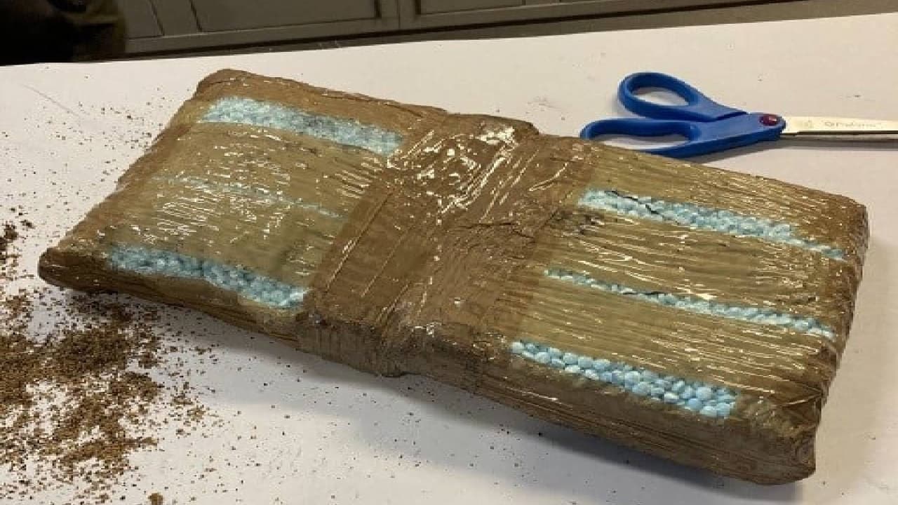 Según reportes, oficiales y la unidad canina realizaron una parada de tráfico donde encontraron en el auto 
<b>4 paquetes</b> que contenían alrededor de 
<b>50,000 píldoras, las cuales se sospechan eran de fentanilo. </b>