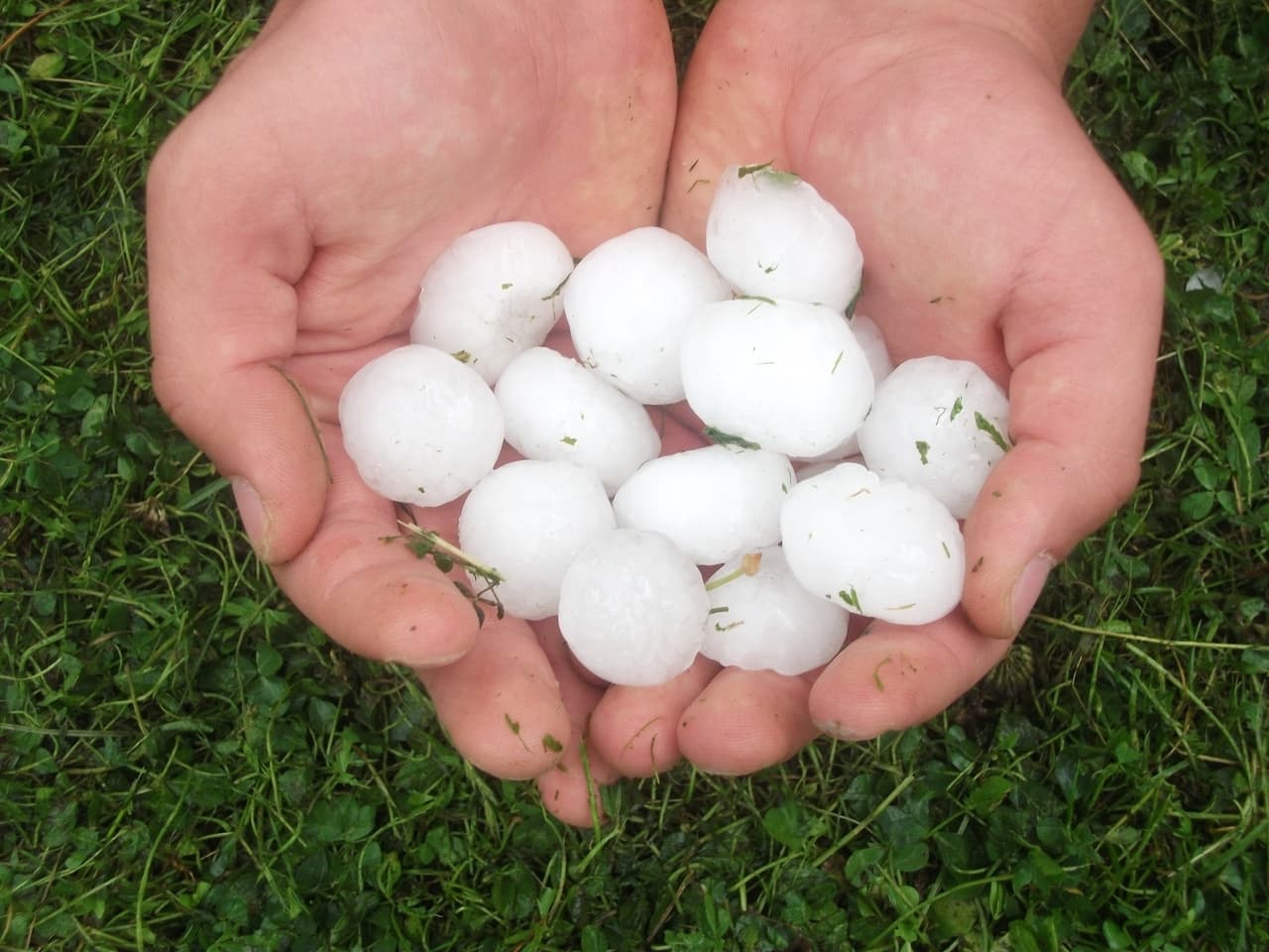 El Servicio Nacional de Meteorología de Chicago advierte sobre un sistema de mal tiempo que se espera entre esta tarde de lunes en Illinois. Los mayores riesgos que enfrentan los residentes de Chicago y los alrededores son fuertes vientos de hasta 60 millas por hora, granizo y la posibilidad de tener un tornado aislado es mínima pero no imposible.
