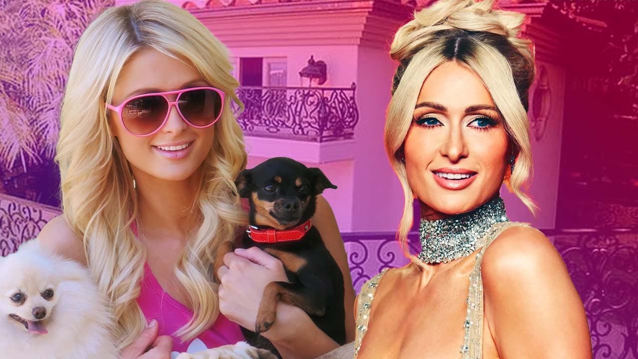 Los lujos de los chihuahuas de Paris Hilton: ¡tienen una mansión propia!