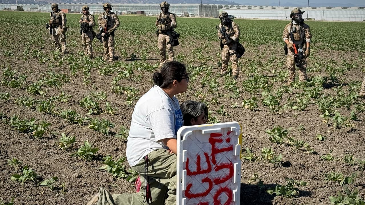 Mapa revela cuáles son las ciudades que concentra más redadas migratorias en California