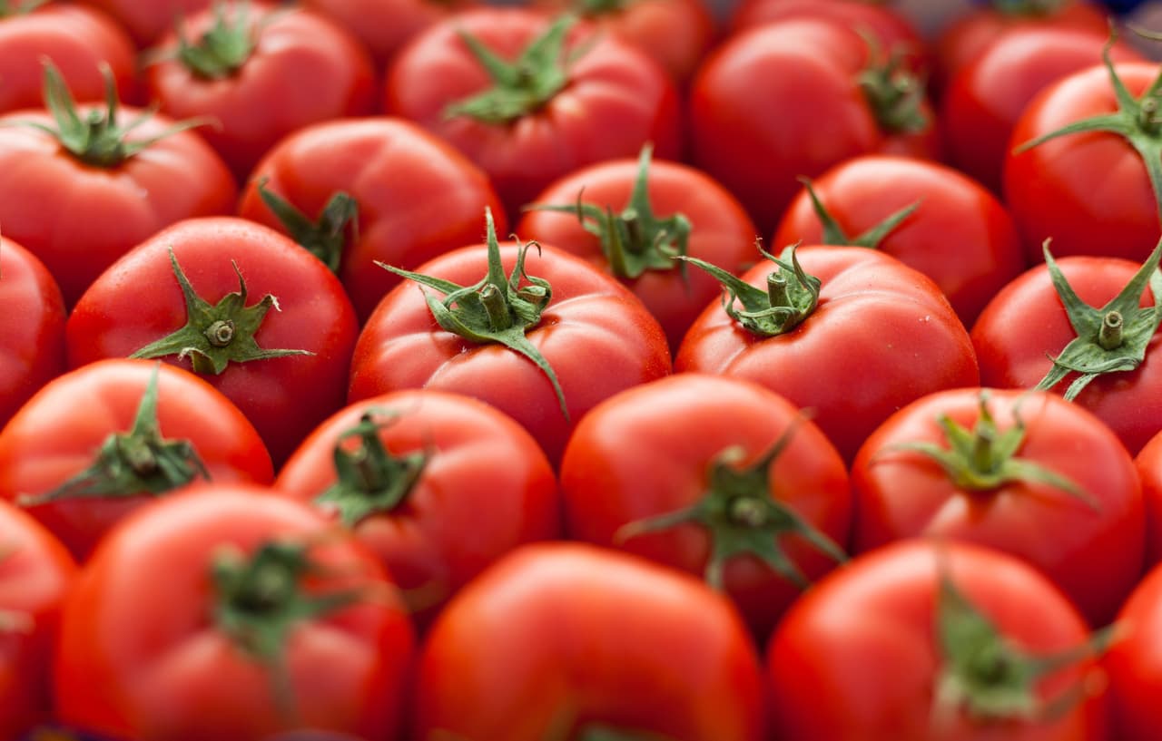<b>Puesto 12. Tomates.</b> 
<br>
<br>La ‘Guia del comprador’ que 
<a href="https://www.ewg.org/foodnews/summary.php"><u>realiza anualmente el Grupo de trabajo ambiental (EWG)</u></a> con los 
<a href="https://www.usda.gov/"><u>datos del departamento de agricultura (USDA)</u></a>, enumera los cultivos que contienen más y menos pesticidas potencialmente dañinos, incluso después de lavarlos o pelarlos. 
<br>
<br>Además de su publicación anual de la ‘docena sucia’, como la EWG denomina a la lista de los 
<a href="https://www.ewg.org/foodnews/"><u>12 productos con más residuos de pesticidas</u></a>, también 
<a href="https://www.ewg.org/foodnews/full-list.php"><u>advierten sobre los 46 productos frescos que pueden llegar contaminados a las tiendas y a nuestro organismo</u></a>.
<br>