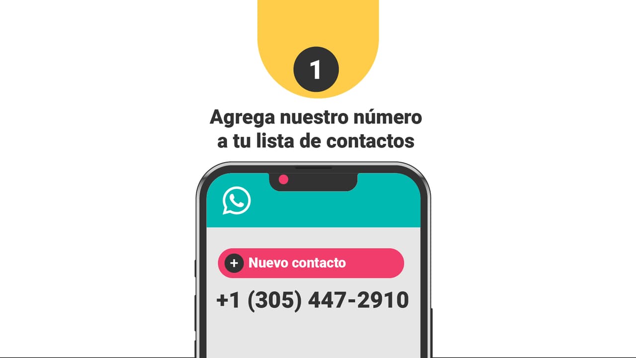 Lo primero: añade a tus contactos del teléfono el número 
<b>+1 (305) 447-2910.</b>