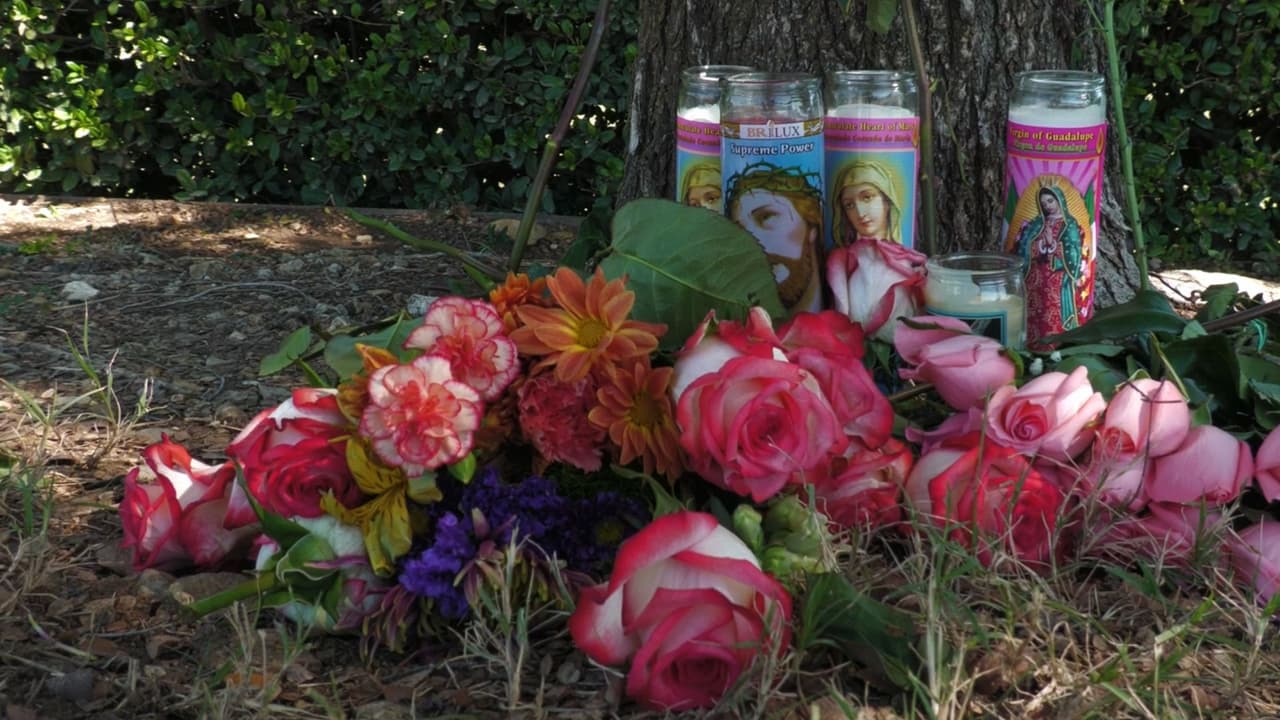 Evelyn Blair sacó a la niña y trató de evitar que los hijos vieran a su madre tras el choque: “Les dije, niños, no la vean puede ser peor. Ve a agarrar a tus hermanos y bloqueé su visión con mi cuerpo”.