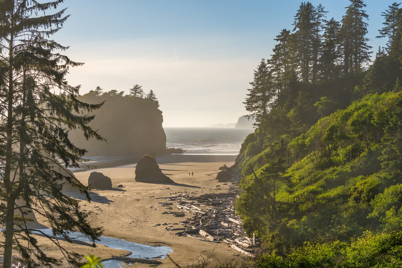 <b>Puesto 3. Parque Nacional Olympic, Washington.</b> Esta área protegida al noroeste del estado de Washington ofrece a los visitantes vistas panorámicas de montañas cubiertas de glaciares y selvas tropicales templadas. Las actividades más populares incluyen la pesca, la exploración de pozos de marea, el senderismo y la observación de estrellas. Verá animales salvajes como alces, osos negros, águilas calvas y varias especies de ballenas en su recorrido, que siempre será más agradable si lo hace en verano.