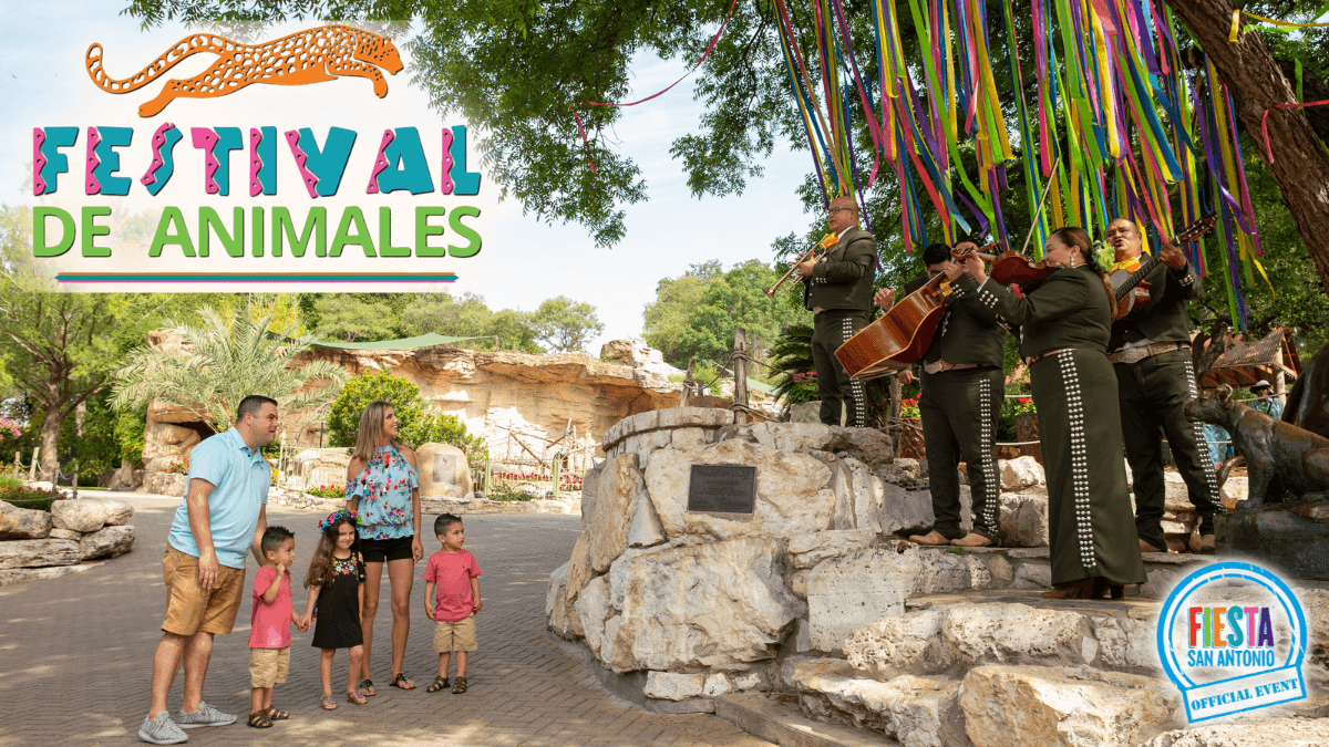 <h2 class="cms-H2-H2">Festival de Animales</h2>
<br>
<ul>
 <li class="li1">Cuándo: 29 de abril</li>
</ul> 
<ul>
 <li class="li1">Hora: 9:00 a 19:00 horas</li>
</ul> 
<ul>
 <li class="li1">Dónde: Zoológico de San Antonio</li>
</ul> 
<ul>
 <li class="li1">Qué es: Evento para celebrar la cultura de Latinoamérica con cocktails y música en vivo.</li>
</ul> 
<ul>
 <li class="li1">Costo: 31.99 dólares</li>
</ul>