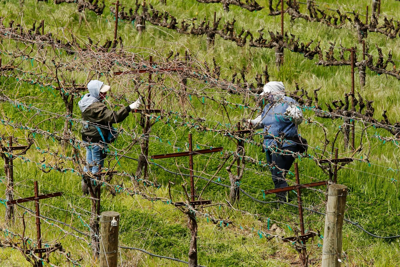 Los Centros para el Control y Prevención de Enfermedades asegura que la posibilidad de contraer coronavirus a través de los alimentos o sus empaques es muy baja.