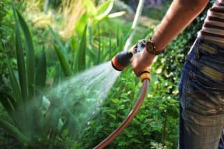 Bakersfield impone restricciones obligatorias al uso del agua en la ciudad