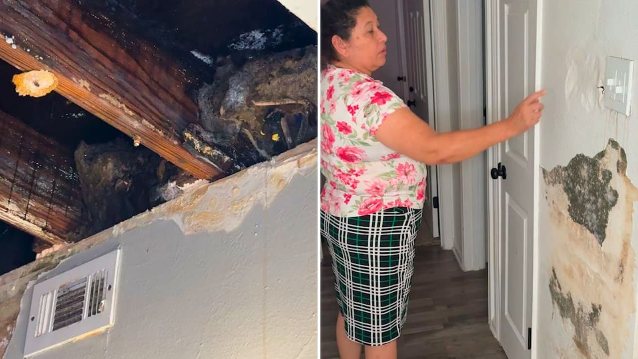 <h3 class="cms-H3-H3">El costo de la espera</h3>
<br>
<b>Los residentes de Legacy Loft Apartments pagan entre $1,200 y $1,500 mensuales de alquiler</b>. Sin embargo, muchos de ellos 
<b>están luchando por obtener lo que se les prometió: un lugar seguro y habitable.</b>