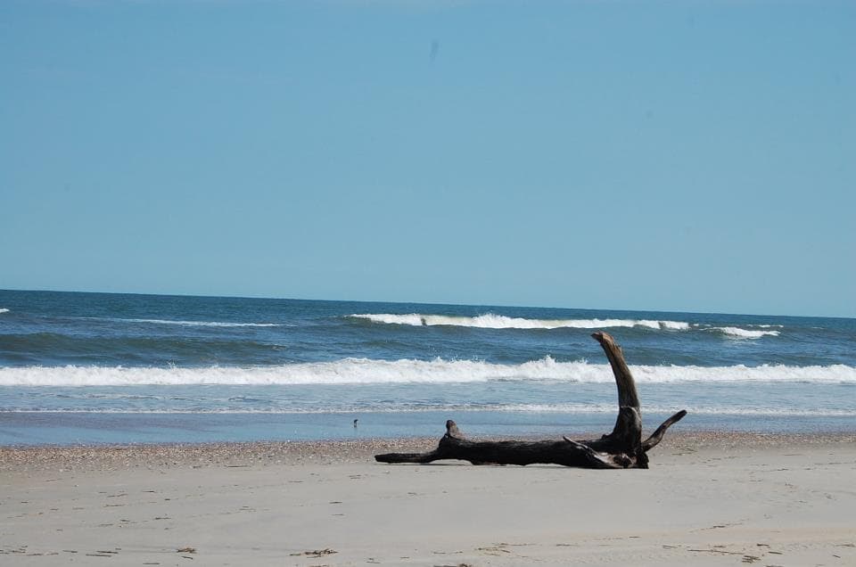 <b>Carova Beach</b>
<br>
<b>Sitio web</b>: 
<a href="https://www.outerbanks.com/carova.html">https://www.outerbanks.com/carova.html</a> 
<br>
<b><a href="https://maps.app.goo.gl/S9A6VzYaVuRvPch27">Cómo llegar</a> </b>
<br>
<br>La ciudad costera más al norte del estado es la opción perfecta para los viajeros que buscan alejarse de todo. Con 12 millas de costa arenosa salpicadas de hermosas casas vacacionales, Carova Beach es un destino atractivo gracias a su atmósfera tranquila y su ubicación fuera de lo común.