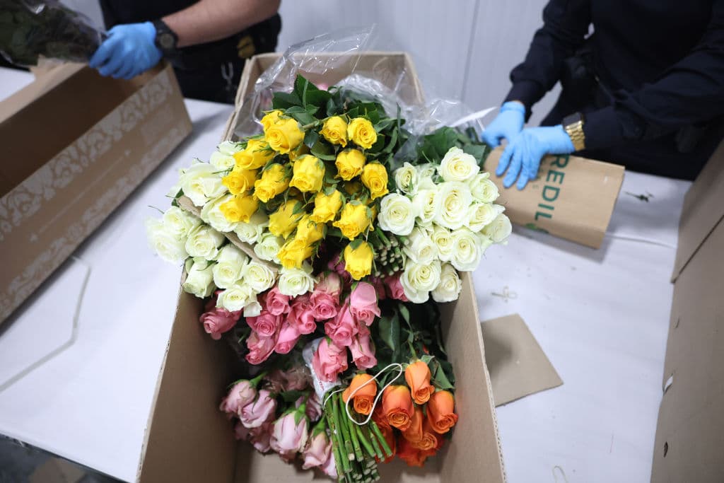 El Día de San Valentín es el de mayor venta de flores en Estados Unidos, seguido del Día de las Madres y el Día de los Fieles Difuntos.