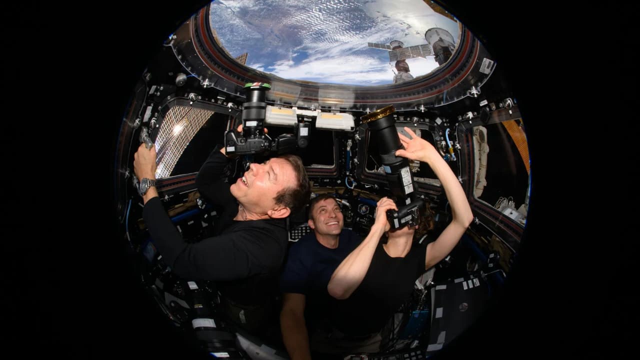 <b>Robots controlados a distancia: </b>Se probaron robots en la Tierra desde el espacio, investigando la ergonomía del sistema y la respuesta del operador, vital para futuras misiones de exploración.