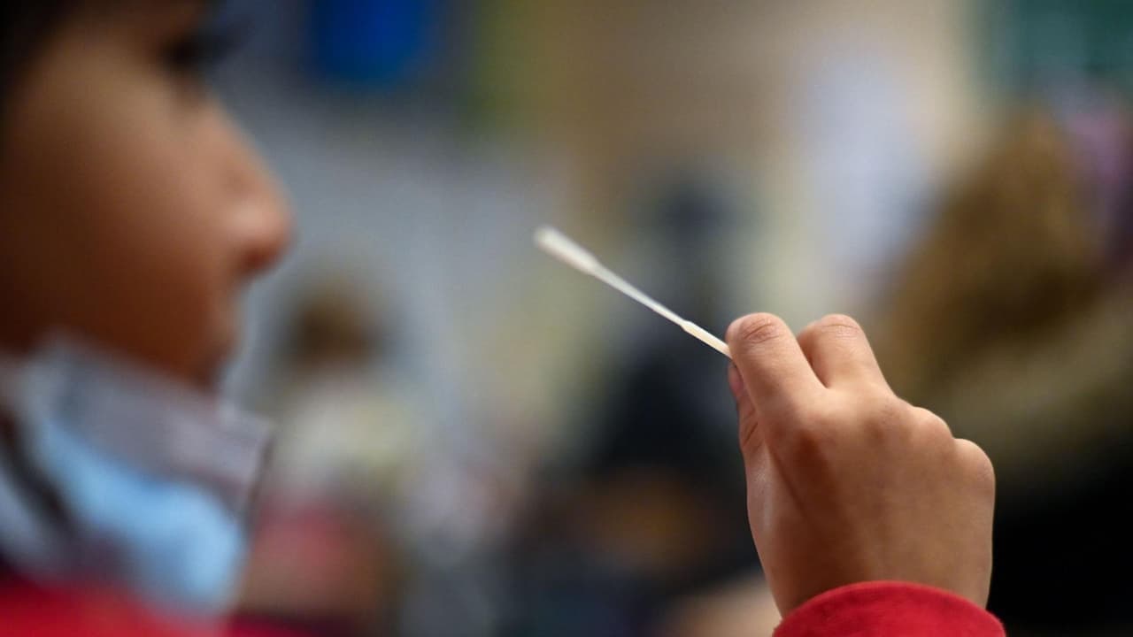 Así podrás obtener pruebas de coronavirus caseras para el regreso a clases de tus hijos