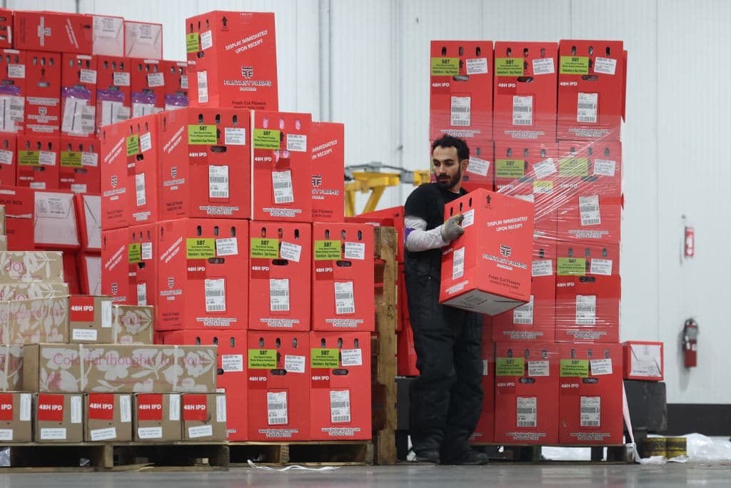 FedEx traslada millones de flores frescas a través del hub para la temporada de San Valentín al aumentar la capacidad aérea desde Colombia y Ecuador