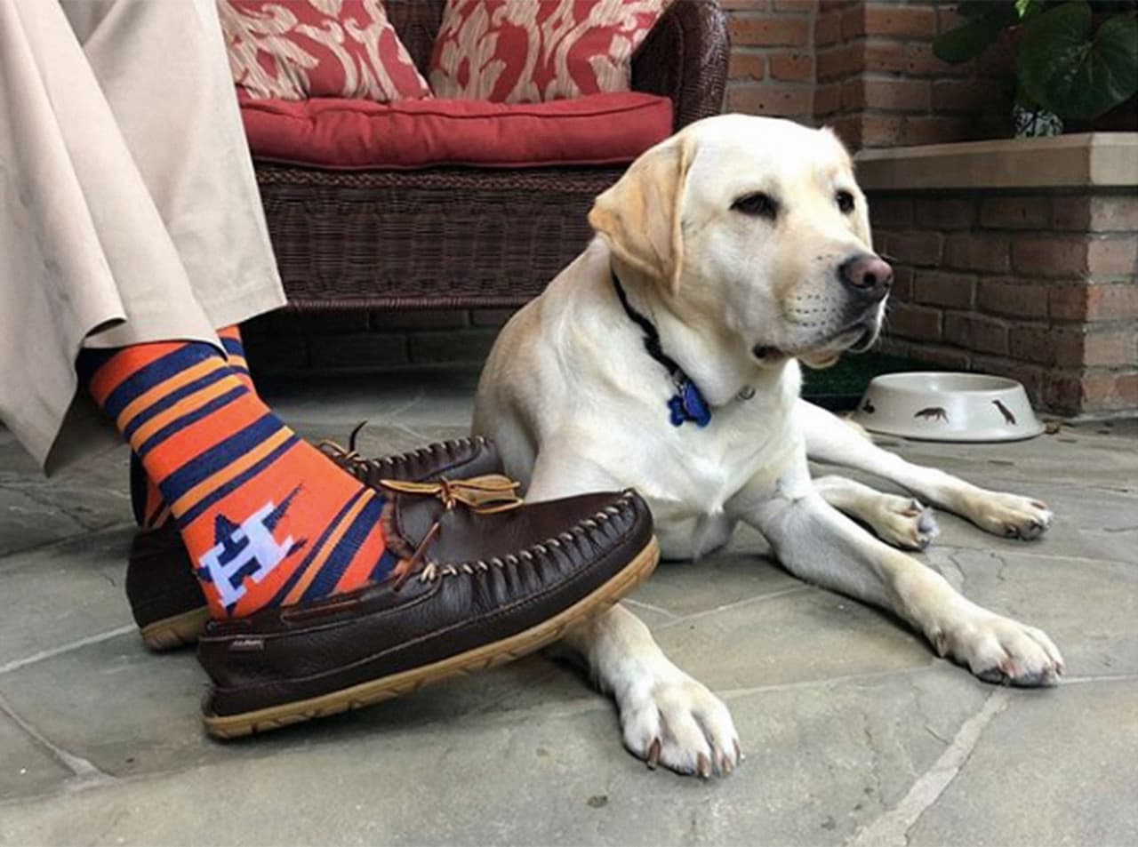 "Naturalmente, como labrador, soy fanático de todos los calcetines, pero estos son los que más me gustan. ¡VAMOS ASTROS! Mi mejor amigo y yo estaremos observando (...) desde #Houston". En esta foto, Sully junto a George Bush padre, alentando al equipo de su dueño. Crédito: Instagram 
<a href="https://www.instagram.com/sullyhwbush/?hl=en" target="_blank">sullyhwbush</a>