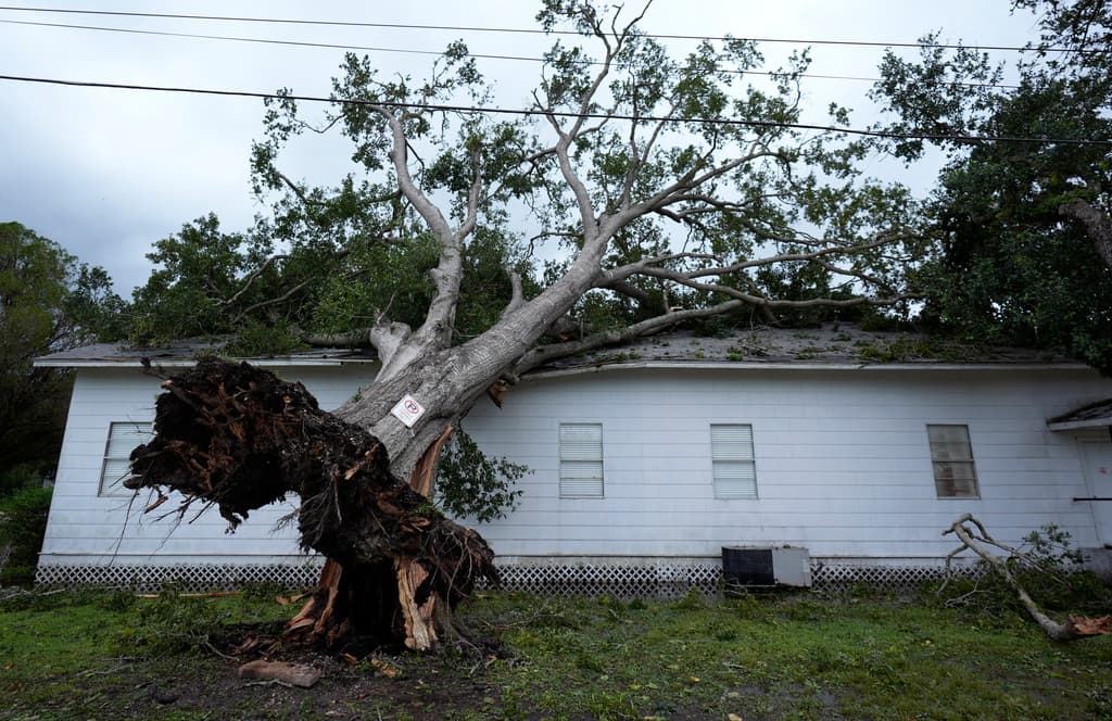A su paso cobró la vida de al menos 4 personas y dejó sin electricidad a 
<a href="https://www.univision.com/local/houston-kxln/beryl-azota-texas-2-2-millones-de-clientes-se-quedaron-sin-electricidad">2.2 millones de clientes</a>. El alcalde de Houston, John Whitmire, mencionó que entre los fallecidos hay un policía de la ciudad. “Venía a trabajar, iba por la carretera 45, llegó a un área inundada y llamó a la policía para pedir ayuda. Después tuvimos que rescatar su cadáver”, dijo.