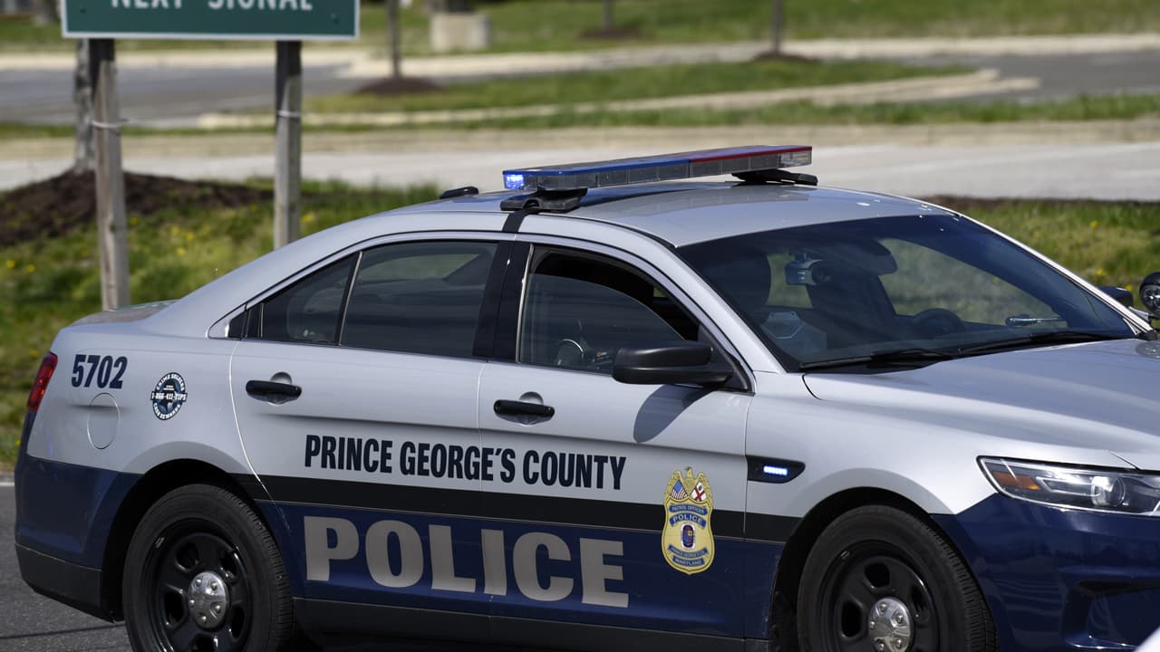 Hallan cuerpos de madre e hijo en una zona boscosa de Maryland: investigan posible caso de homicidio-suicidio