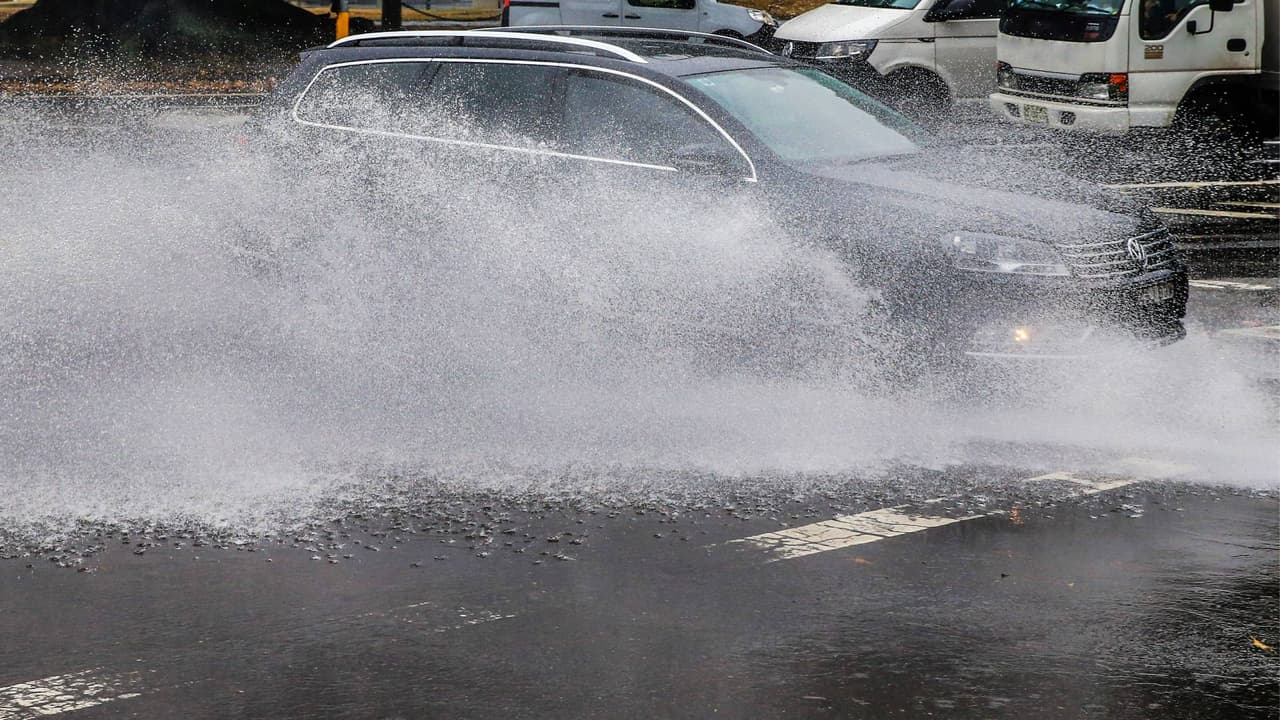 Las fuertes lluvias que se han registrado en las últimas horas han ocasionado embotellamientos en algunas vías del norte de Texas, pero también se reportan zonas inundadas, por lo que debes conducir con mucho cuidado y bajar la velocidad. Asimismo, es importante que estés al pendiente de la señalización que han puesto las autoridades para alertar sobre calles en las que el agua está estancada.