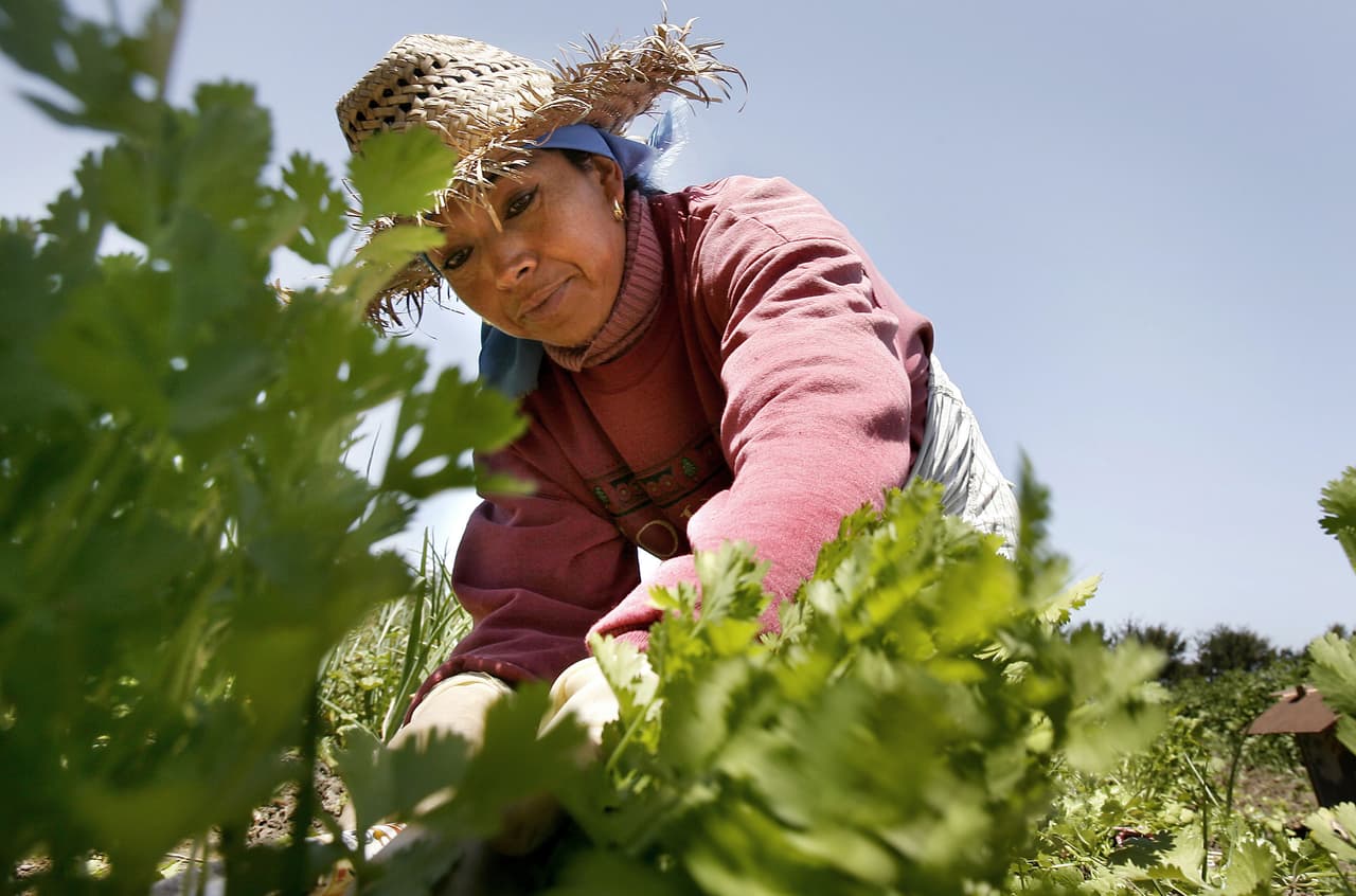 <b>Puesto 15. Trabajadores agrícolas diversos.</b>
<br>
<br>Salario anual promedio: 29,848 dólares.
<br>
<br>Número total de trabajadores en 2020: 628.000.
<br>
<br>Proyección del cambio en la cantidad de personas en este empleo de 2019 a 2029: +1.1%.
<br>
<br>Empleados en este oficio con licenciatura universitaria: no hay datos disponibles.
<br>
<br>Como es el caso de muchos trabajos con salarios más bajos, los trabajadores agrícolas tienen una ocupación físicamente exigente. A menudo están al aire libre en todo tipo de clima, realizando tareas físicas repetitivas.
<br>