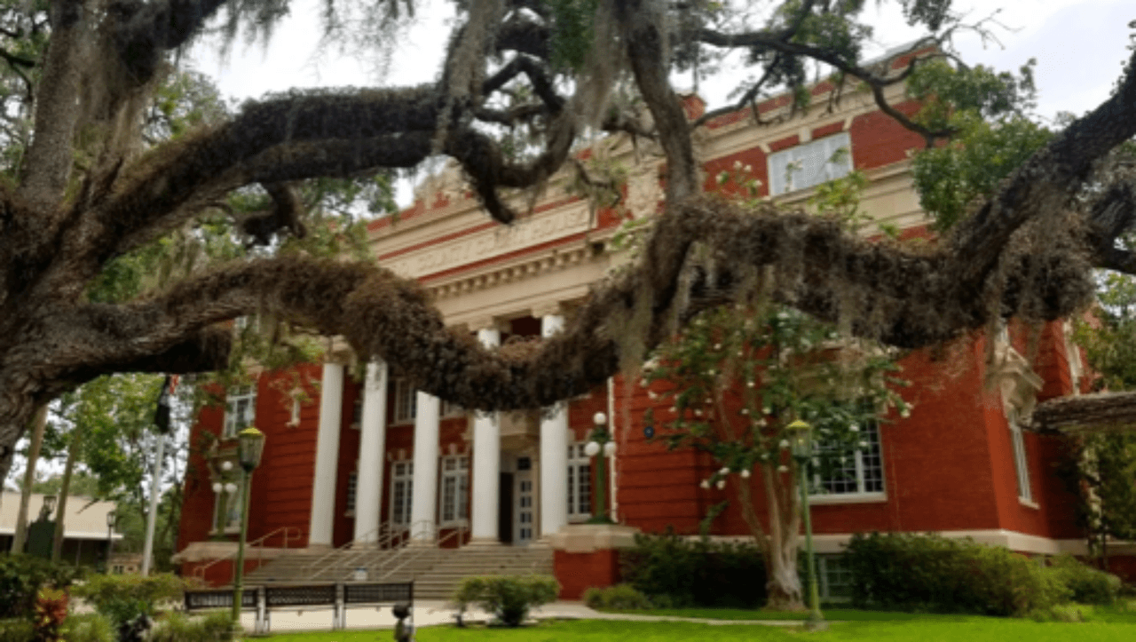 <h3 class="cms-H3-H3">5. Timber Pines, Florida</h3>
<br>
<br>📖 
<b>Media de edad: </b>76.7 años.
<br>
<br>📖 
<b>Población que asiste a la universidad: </b>0.6%
<br>
<br>📖 
<b>Población menor de 18 años: </b>2.4%
<br>
<br>📖 
<b>Población mayor de 65 años:</b> 83.3%
<br>
<br>📖 
<b>Población:</b> 5,076 habitantes. 
<br>