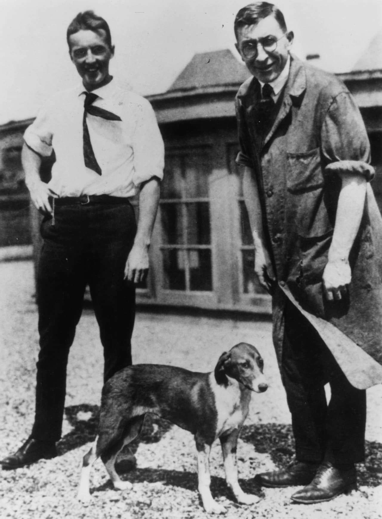 Según detalla la Universidad de Toronto, que cuenta con el archivo más detallado sobre la historia de la insulina, 
<b><a href="https://insulin.library.utoronto.ca/about/timeline" target="_blank">el 30 de julio de 1921 inyectaron por primera vez la sustancia purificada en un perro diabético</a></b> 
<b> y descubrieron que reducía los niveles de glucosa en sangre. </b>En la foto, Charles Best y Frederick Banting en la universidad con uno de los perros diabéticos con los que trabajaron. 
<br>
<br>