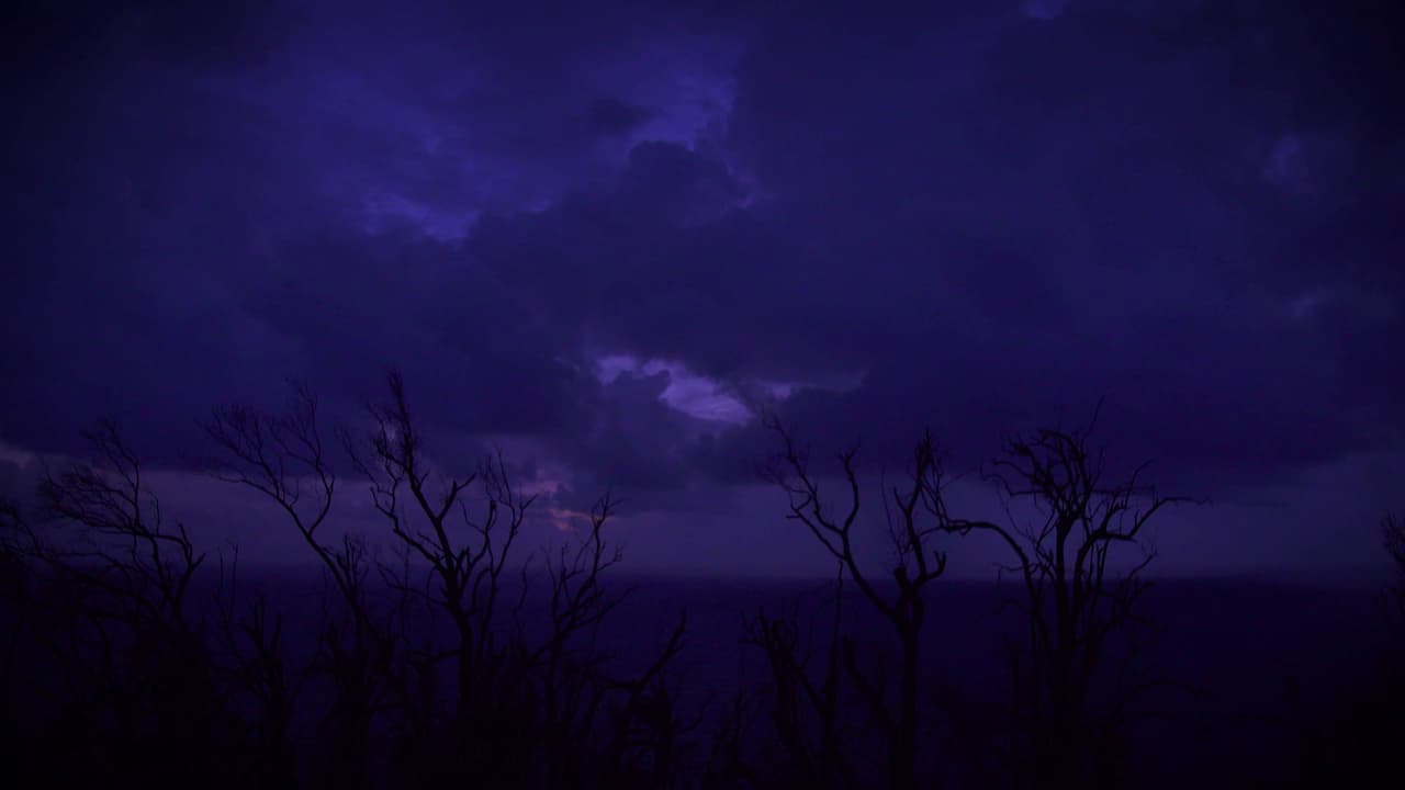 Life in the eye of the hurricane