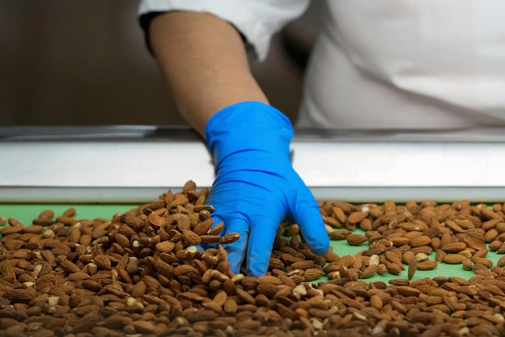 Actualmente, las almendras de California enfrentan un arancel total de 35% en China. 
<b>Beijing impuso aranceles a las almendras</b> durante 
<b>la primera administración de Trump (2016-2020)</b>, en respuesta a los que el republicano les impuso a 
<b>los productos chinos</b>.